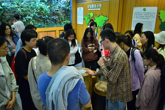 3.參觀仙湖植物園蕨類中心